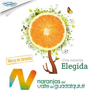 folleto-naranja-1
