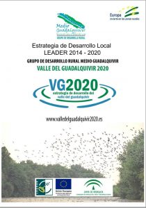 portada EDL VG 2020