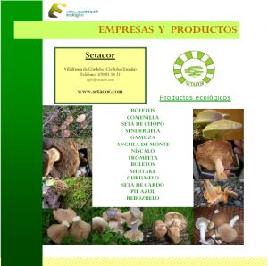 folleto-ecologico-7