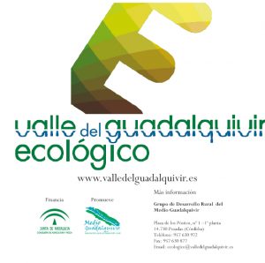 folleto-ecologico-8